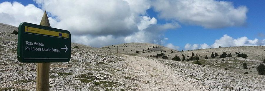 Pedró dels Quatre Batlles Pedró dels Quatre Batlles